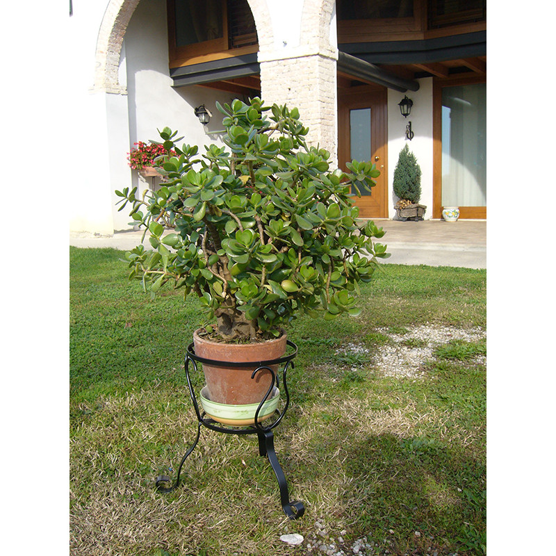 Portavaso treppiede tondo