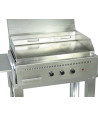 Barbecue a gas Professional 3 fuochi piastra liscia