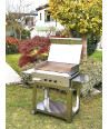Barbecue a gas Professional 3 fuochi piastra smaltata