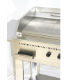 Barbecue a gas Professional 4 fuochi piastra liscia