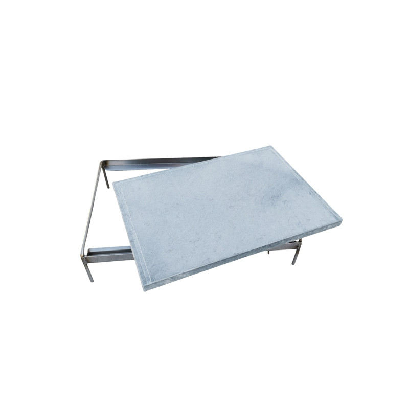 Barbecue a gas con piastra in pietra ollare e Fry Top