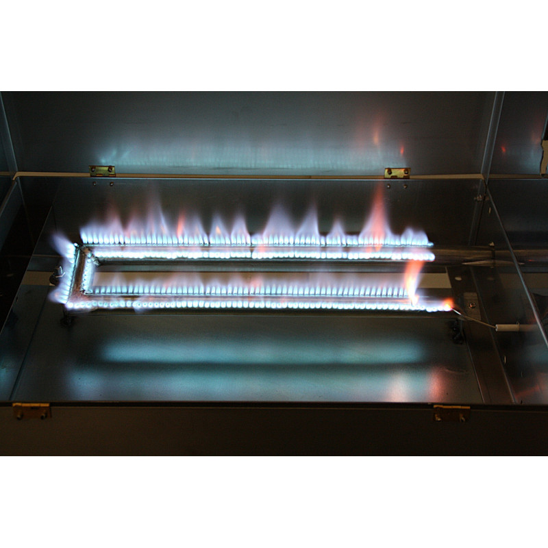 Barbecue a Gas cuoci castagne