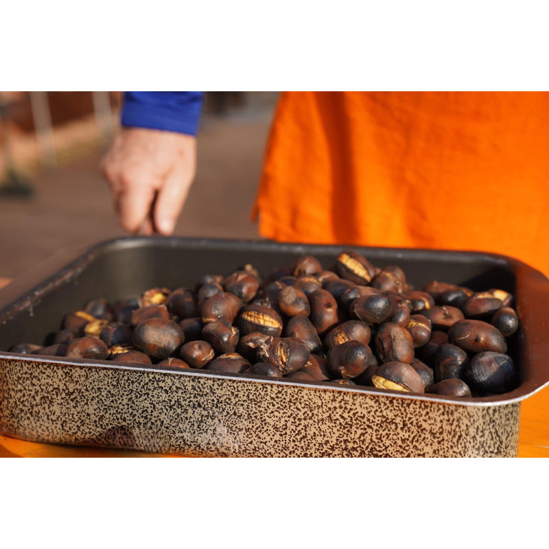 Barbecue a Gas cuoci castagne