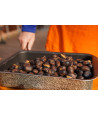 Barbecue a Gas cuoci castagne