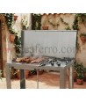 Cucina a Gas da Esterno con plancha liscia in acciaio inox 304